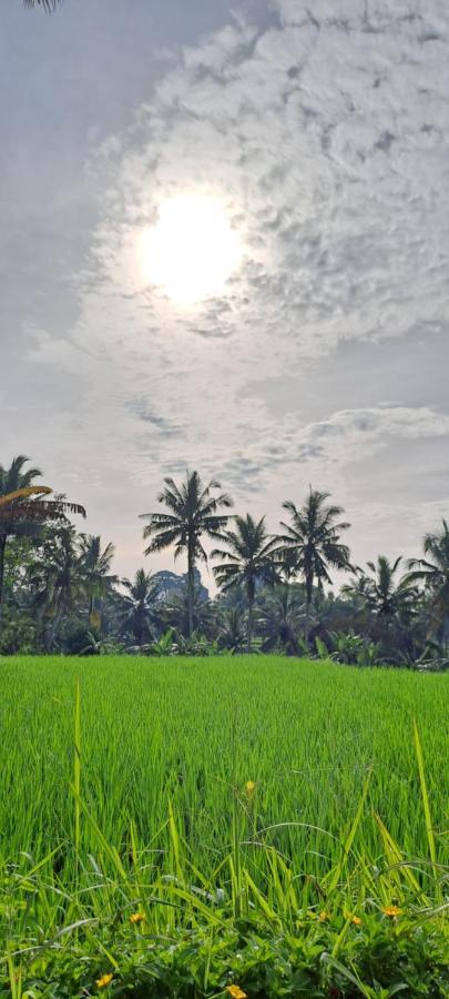 أوبود Galang Hari Villa المظهر الخارجي الصورة