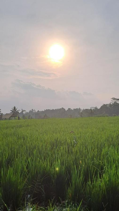 أوبود Galang Hari Villa المظهر الخارجي الصورة