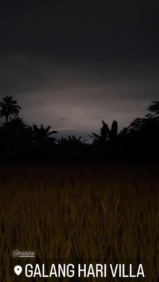 أوبود Galang Hari Villa المظهر الخارجي الصورة