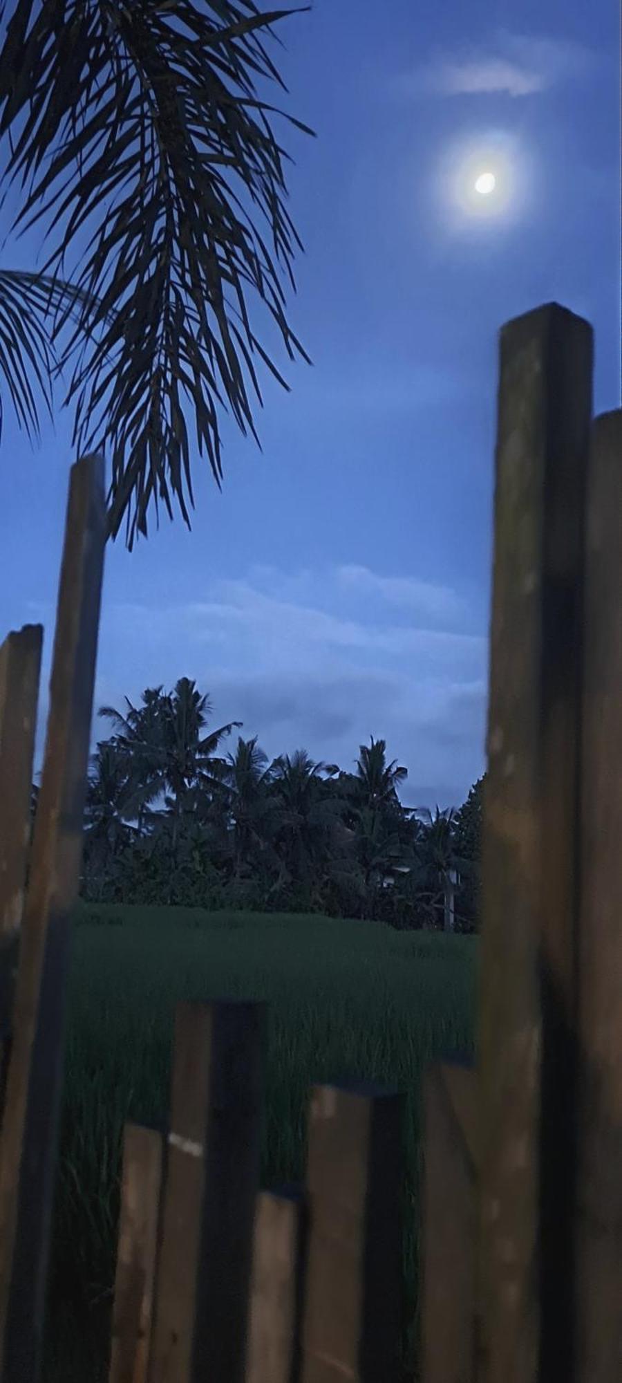 أوبود Galang Hari Villa المظهر الخارجي الصورة
