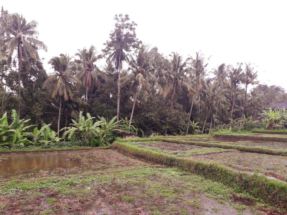 أوبود Galang Hari Villa المظهر الخارجي الصورة